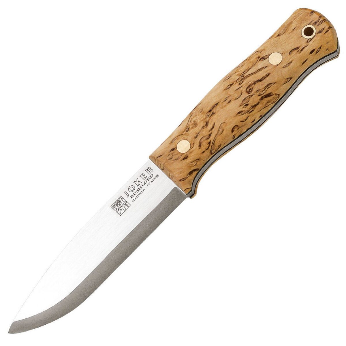 joker scandi curly birch noz survival bushcraft knife bushlord