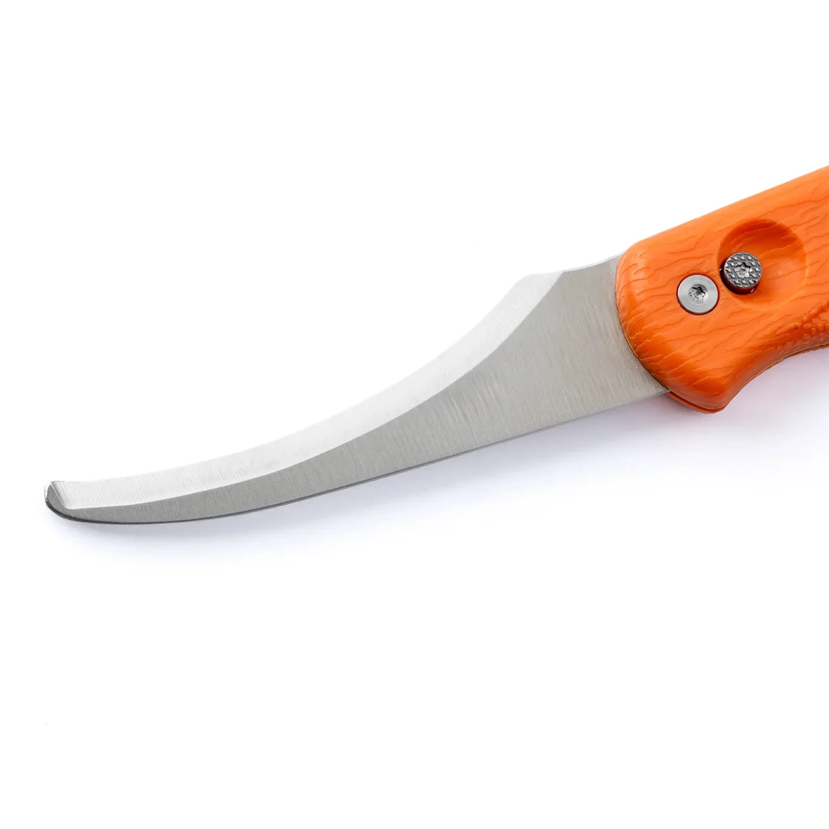 duo orange 4