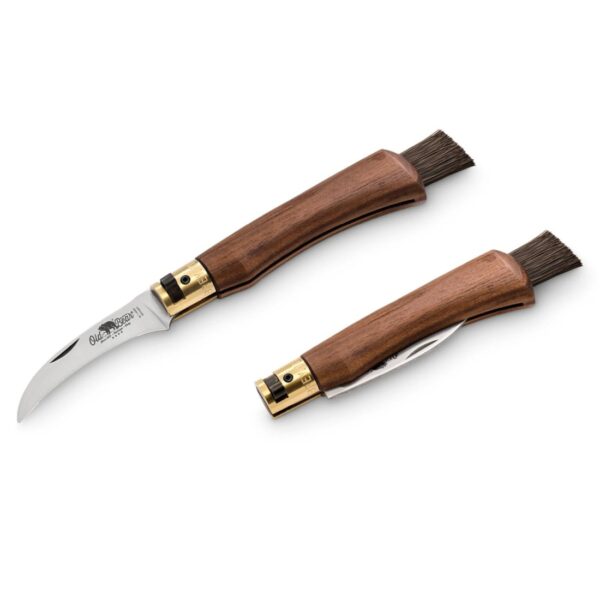 Antonini old bear 9387 19 LN mushroom noz za gljive