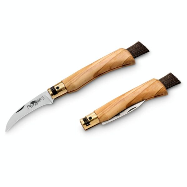 antonini old bear mushroom maslina 9387 19 LU noz za gljive